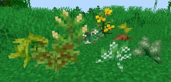 Brazilian Delight screenshot