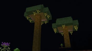 El and L's Dyes screenshot