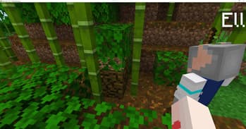 Player2 AI NPC screenshot