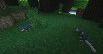Rats screenshot