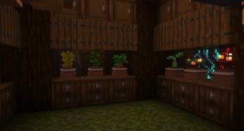 Botanical Pots screenshot