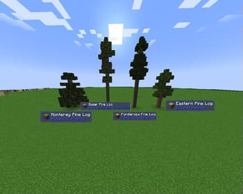 The Rename Compat Project screenshot
