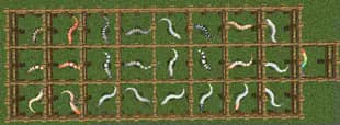 Snekcraft screenshot