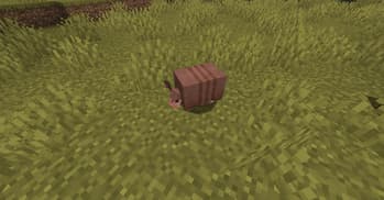 Varied Armadillos screenshot