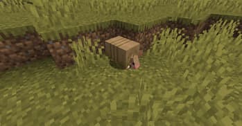 Varied Armadillos screenshot