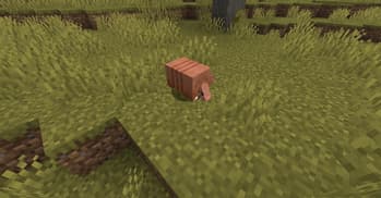 Varied Armadillos screenshot