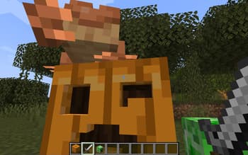 Pumpkin Carving screenshot