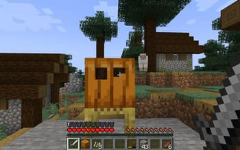 Pumpkin Carving screenshot