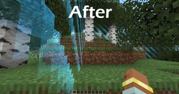 No Worldborder Tint screenshot
