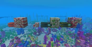 AL's Squids & Nautiluses x Fresh Animations screenshot