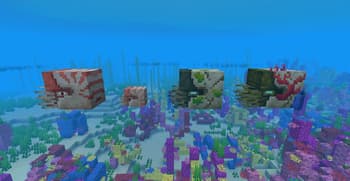 AL's Squids & Nautiluses x Fresh Animations screenshot