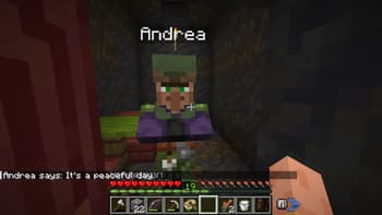 Villager Talk screenshot