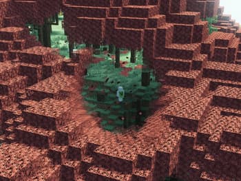 Top Down View screenshot