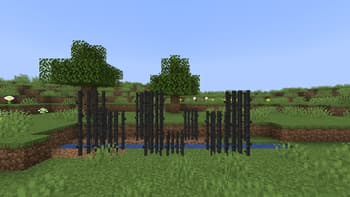 Assorted World screenshot