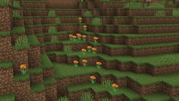 Marigolds screenshot
