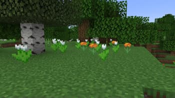 Marigolds screenshot