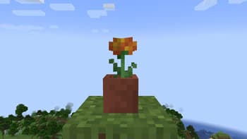 Marigolds screenshot