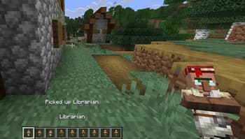 Villager Ordinance screenshot