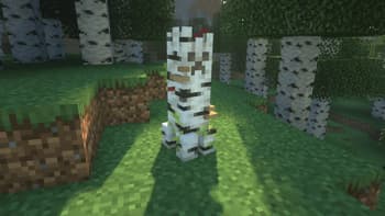 Creeper Overhaul RP screenshot