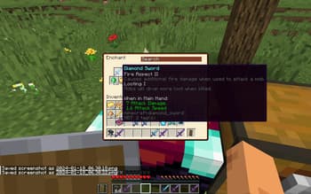Enchanting System Overhaul screenshot