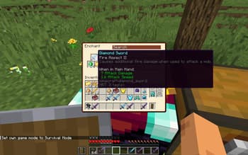 Enchanting System Overhaul screenshot