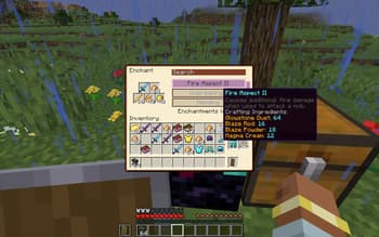 Enchanting System Overhaul screenshot