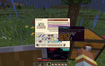 Enchanting System Overhaul screenshot