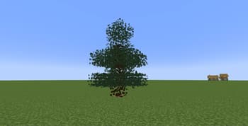 Timber: Enchantment addon screenshot