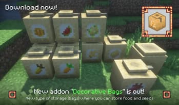 Decorative Storage screenshot
