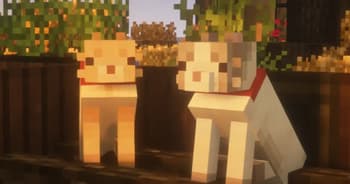 Even Cuter Kitties screenshot