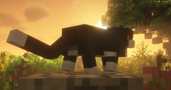 Even Cuter Kitties screenshot