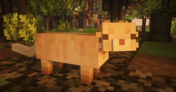 Even Cuter Kitties screenshot