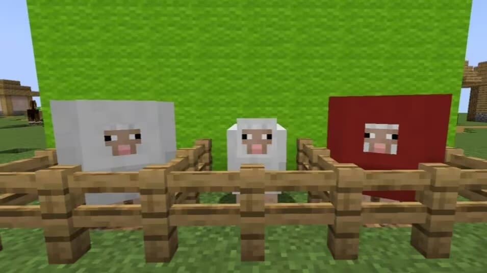 Awesome Sheep Swell screenshot