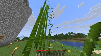 Drop2Inv screenshot