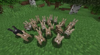 Tameable Rabbits screenshot