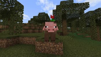 Enhanced Vanilla! screenshot