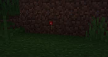 Dynamic Lite Light screenshot