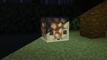 Dynamic Lite Light screenshot
