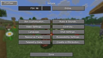 Options Profiles screenshot