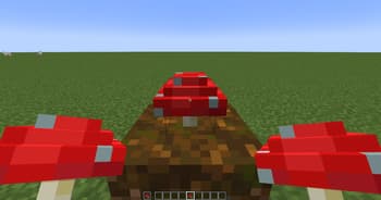 Mushrooms 3D screenshot