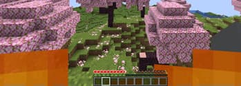 PVP Vitals screenshot
