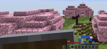 PVP Vitals screenshot