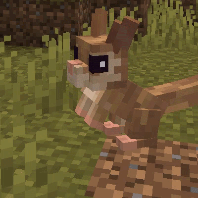 Animal Garden - Springhare screenshot