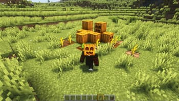 Cute Pumpkin screenshot
