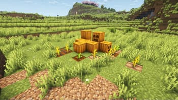 Cute Pumpkin screenshot