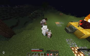 Herobrine is Real screenshot