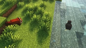 Lanostry's foxes x Fresh animations screenshot