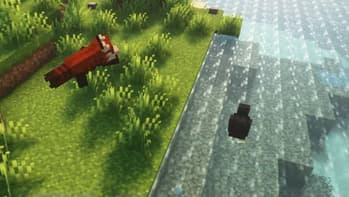 Lanostry's foxes x Fresh animations screenshot