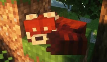 Lanostry's foxes x Fresh animations screenshot