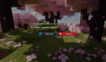 Shader Profiles screenshot
